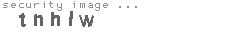 security image