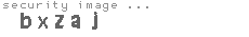 security image