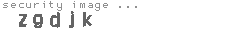 security image