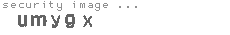 security image