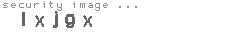security image