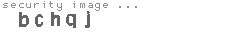 security image