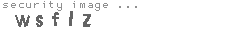 security image