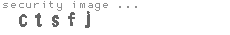 security image