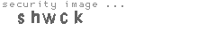 security image