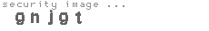 security image