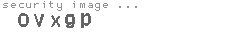 security image