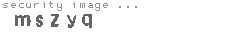 security image