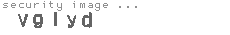 security image