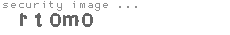 security image