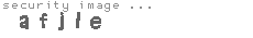 security image