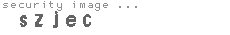 security image