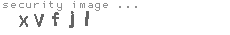 security image